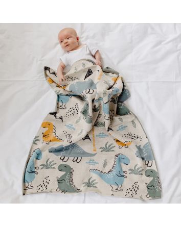 Di Lusso Dinosaur Baby Blanket